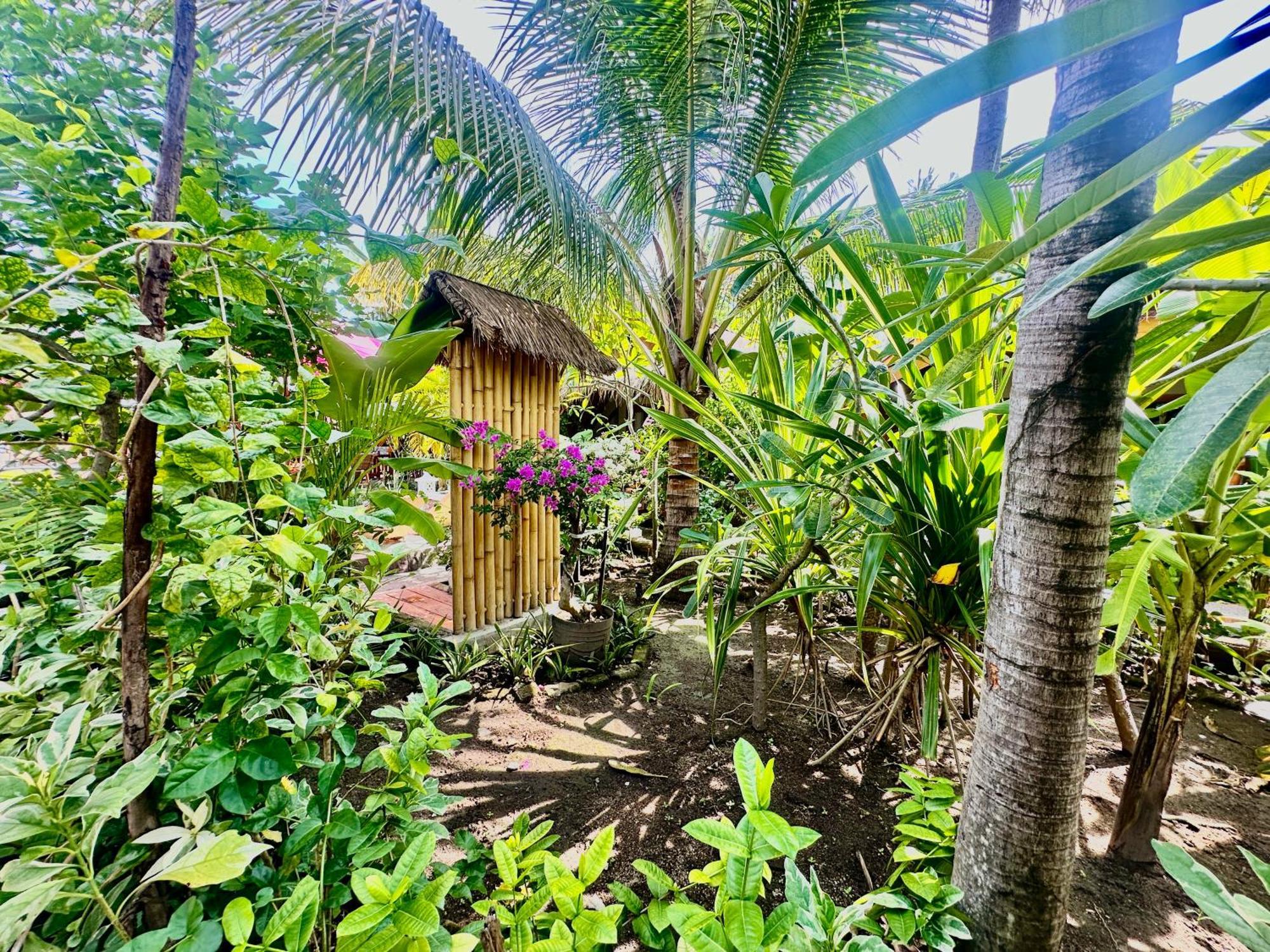Sunny Rose Bungalows Gili Air - Adults Only エクステリア 写真